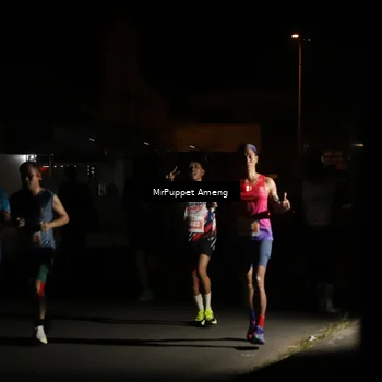 Runner Photo 4331308