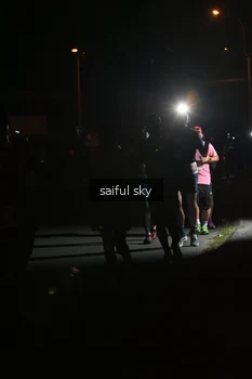 Runner Photo 4331309