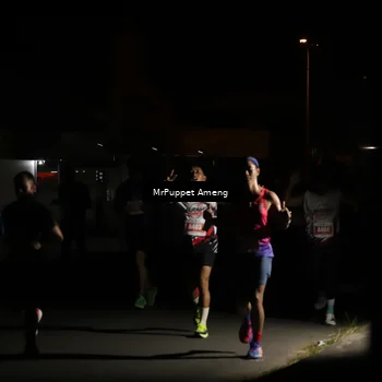 Runner Photo 4331312
