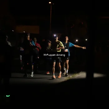 Runner Photo 4331313