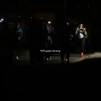 Runner Photo 4331314