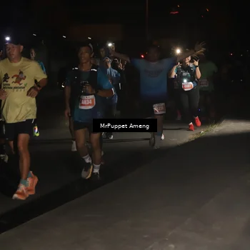 Runner Photo 4331315