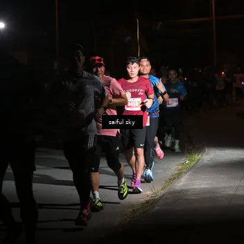 Runner Photo 4331318