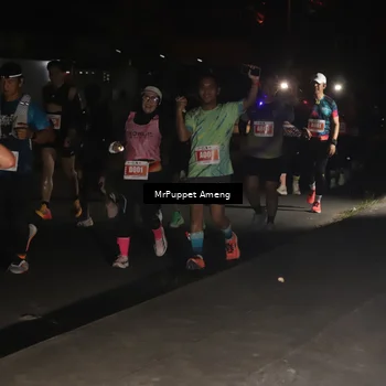 Runner Photo 4331319