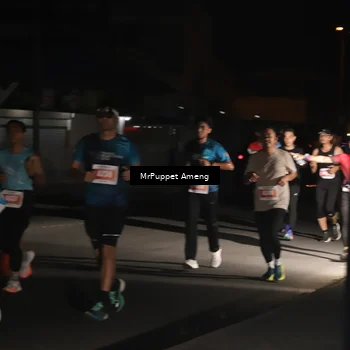 Runner Photo 4331321