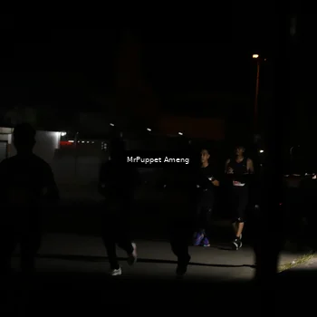 Runner Photo 4331322