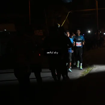 Runner Photo 4331323