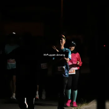 Runner Photo 4331330