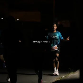 Runner Photo 4331337