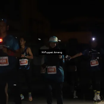 Runner Photo 4331344