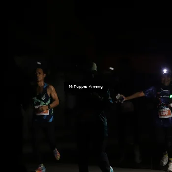 Runner Photo 4331345