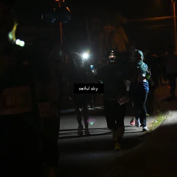 Runner Photo 4331348