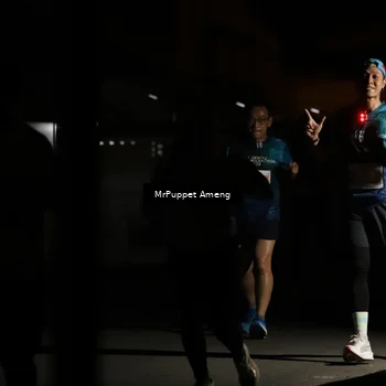 Runner Photo 4331351