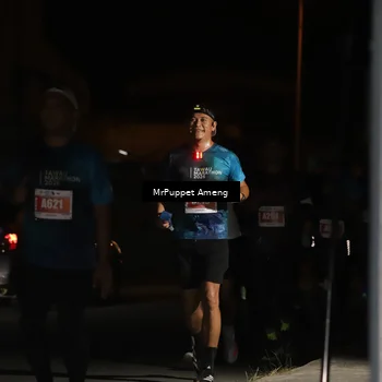Runner Photo 4331354