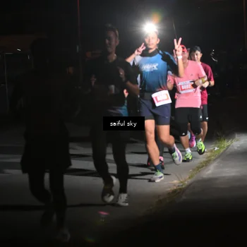 Runner Photo 4331355