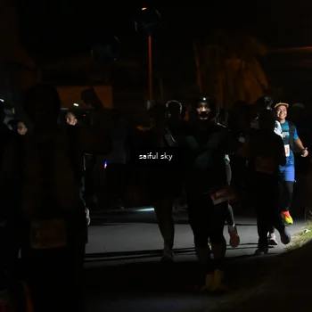 Runner Photo 4331358