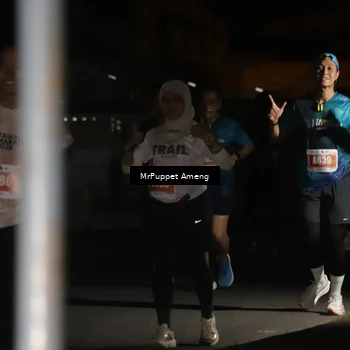 Runner Photo 4331360
