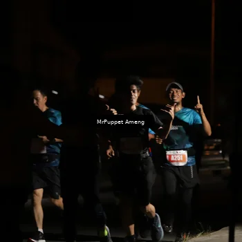 Runner Photo 4331375