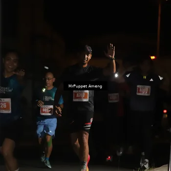 Runner Photo 4331376