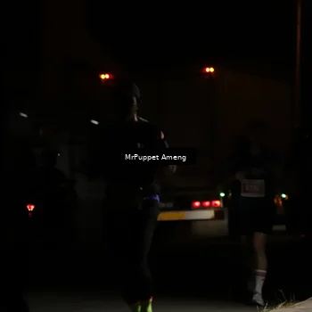 Runner Photo 4331377