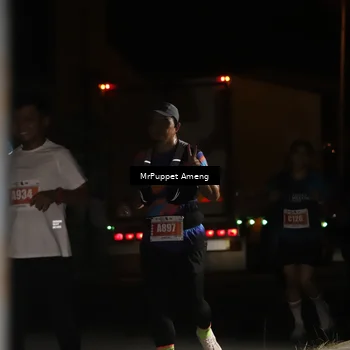 Runner Photo 4331380