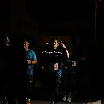Runner Photo 4331395