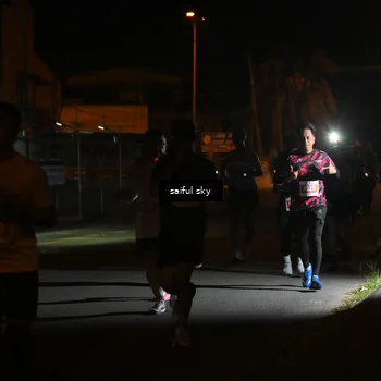 Runner Photo 4331396