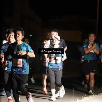 Runner Photo 4331399