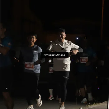 Runner Photo 4331402