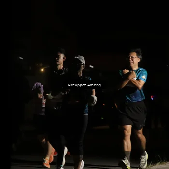 Runner Photo 4331403