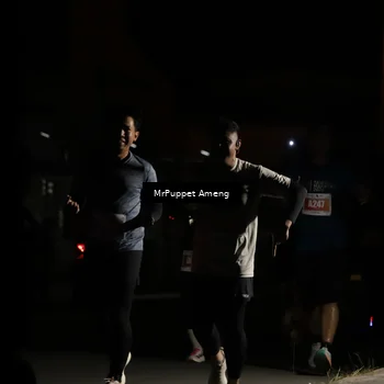 Runner Photo 4331404
