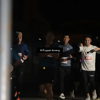 Runner Photo 4331405