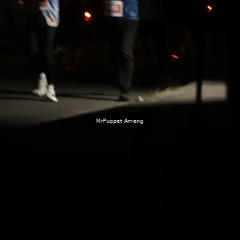 Runner Photo 4331409