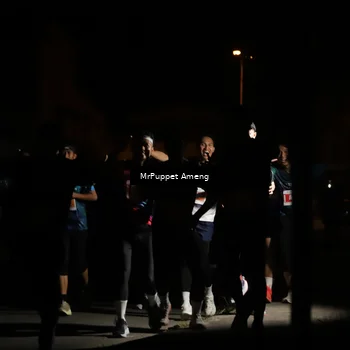 Runner Photo 4331412