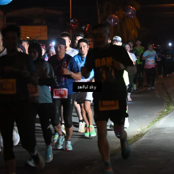 Runner Photo 4331414