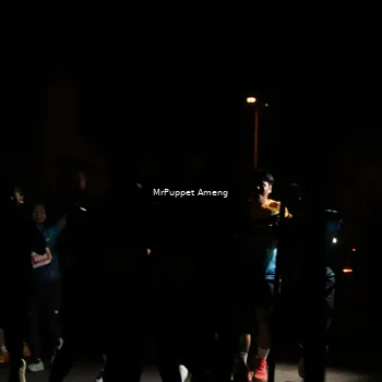 Runner Photo 4331419