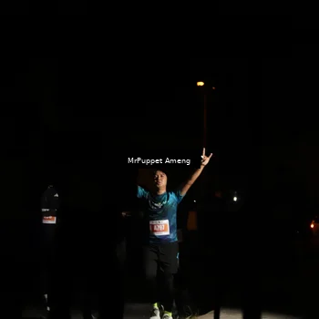 Runner Photo 4331428