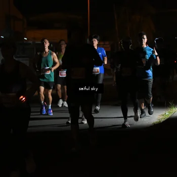 Runner Photo 4331429