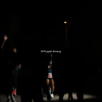 Runner Photo 4331430