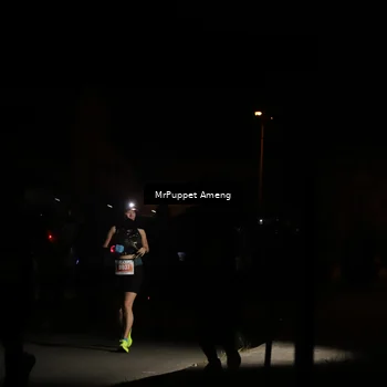 Runner Photo 4331435
