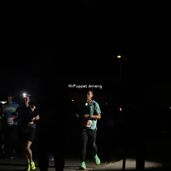 Runner Photo 4331436