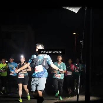 Runner Photo 4331438