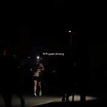 Runner Photo 4331439