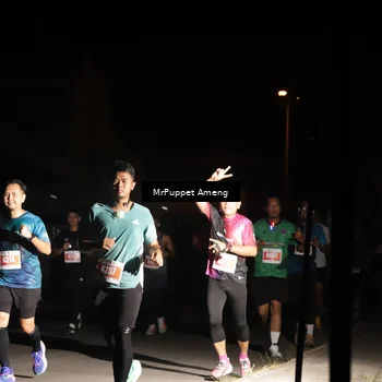 Runner Photo 4331440