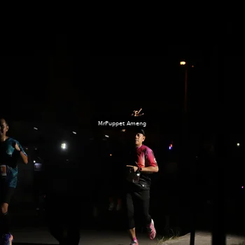 Runner Photo 4331441