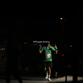 Runner Photo 4331443