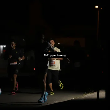 Runner Photo 4331459