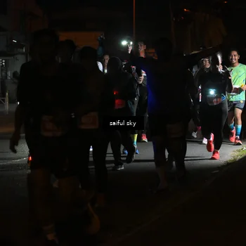 Runner Photo 4331460