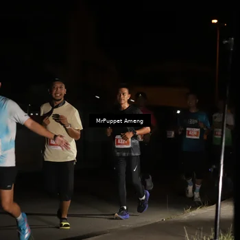 Runner Photo 4331461