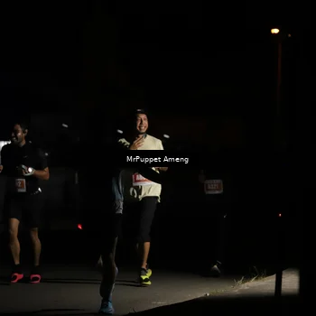 Runner Photo 4331462